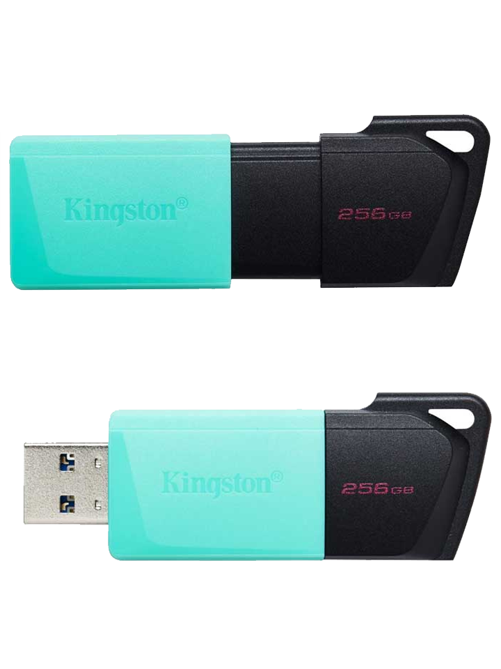 Memoria USB Kingston Exodia 256GB